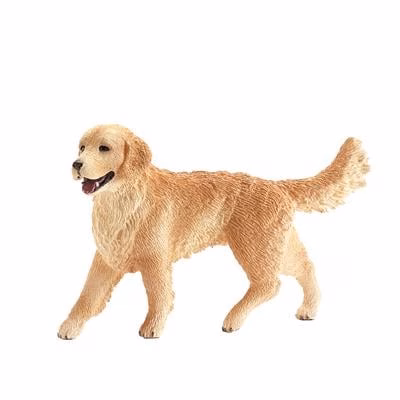 Golden Retriever Teefje SL16395