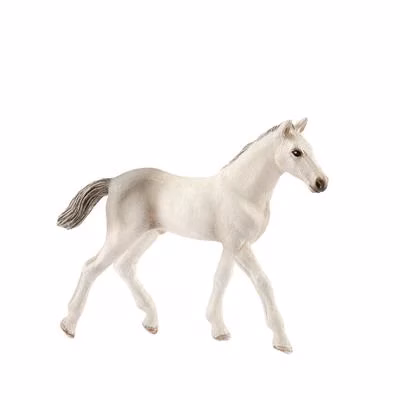 Holsteiner Veulen Schleich 13860
