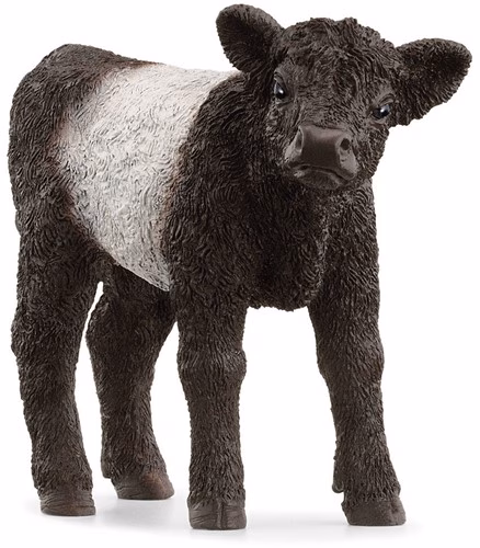 Schleich Farm World Galloway Kalf Schleich 13969