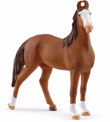 Schleich Horse Club Marwari Merrie 14897