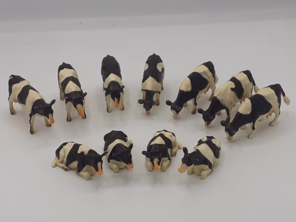 Zwartbonte Koeien (11 stuks)